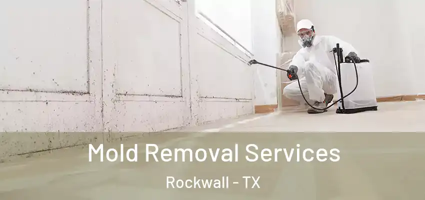 Mold Removal Services Rockwall - TX