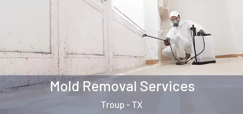 Mold Removal Services Troup - TX