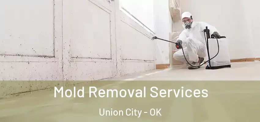  Mold Removal Services Union City - OK