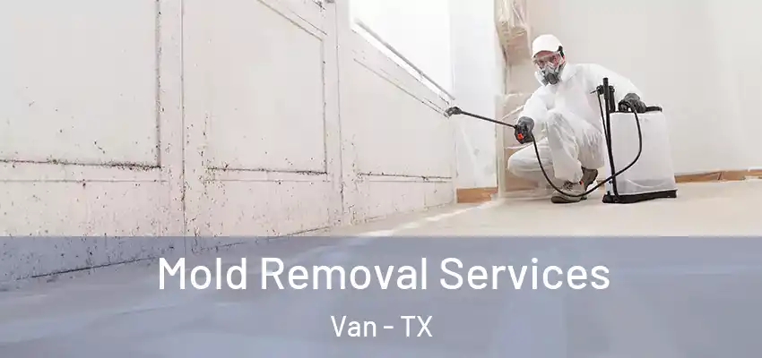 Mold Removal Services Van - TX