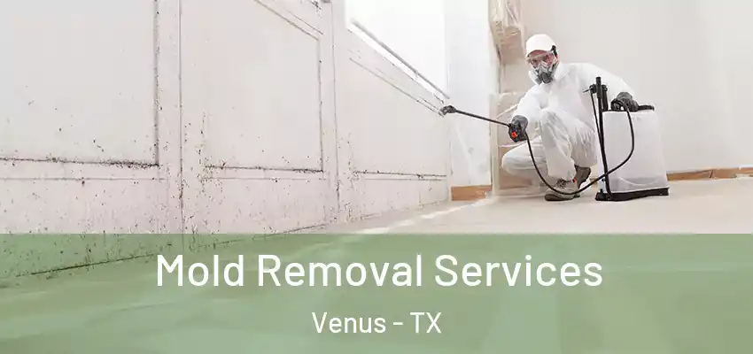 Mold Removal Services Venus - TX
