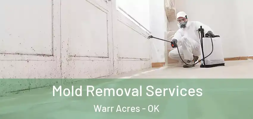  Mold Removal Services Warr Acres - OK