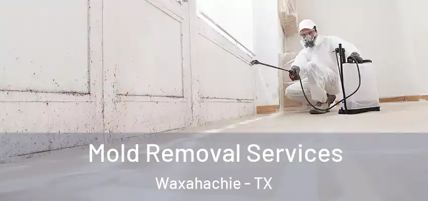  Mold Removal Services Waxahachie - TX