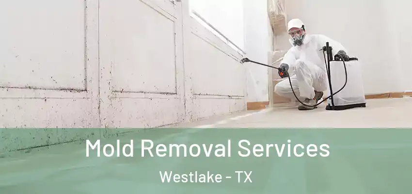  Mold Removal Services Westlake - TX