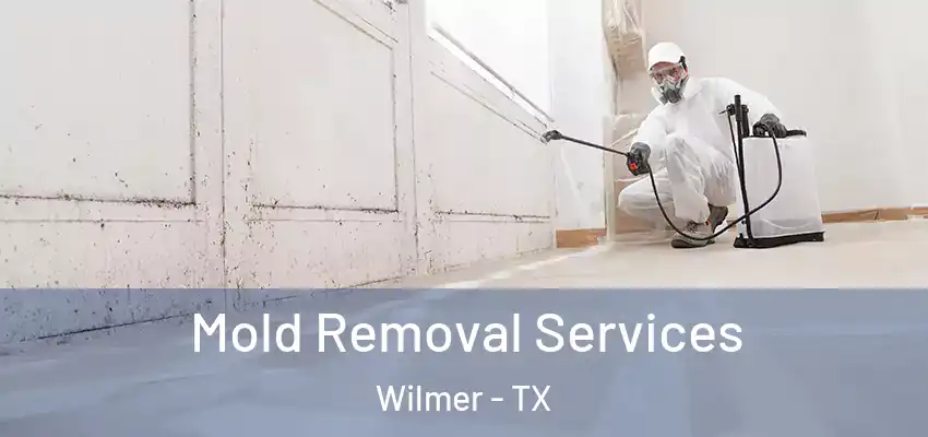 Mold Removal Services Wilmer - TX