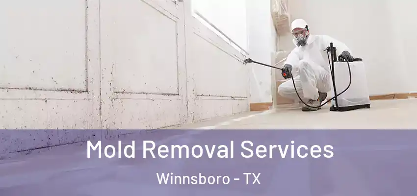  Mold Removal Services Winnsboro - TX