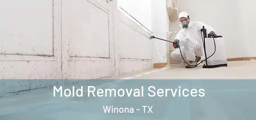 Mold Removal Services Winona - TX