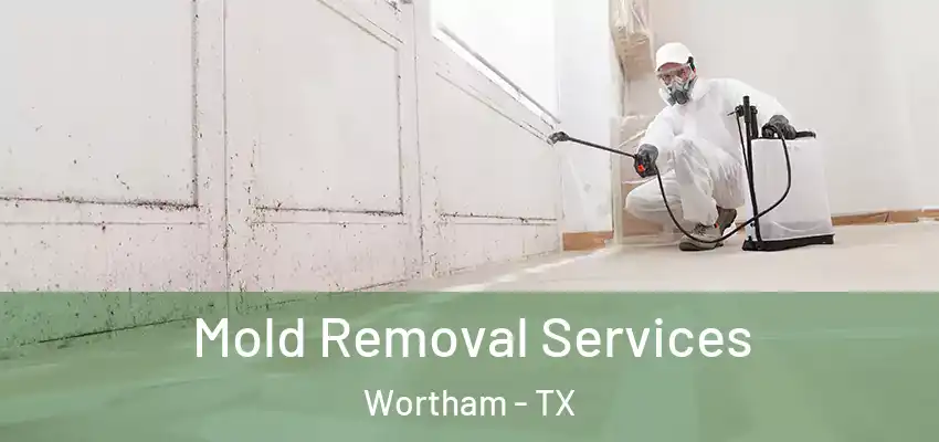  Mold Removal Services Wortham - TX