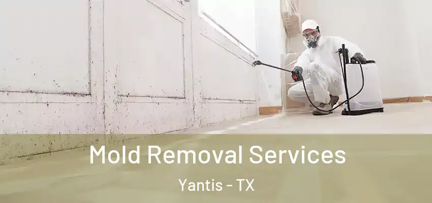 Mold Removal Services Yantis - TX