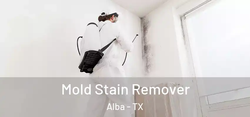  Mold Stain Remover Alba - TX