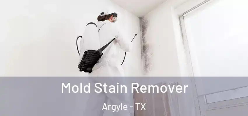 Mold Stain Remover Argyle - TX