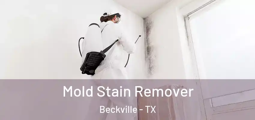 Mold Stain Remover Beckville - TX