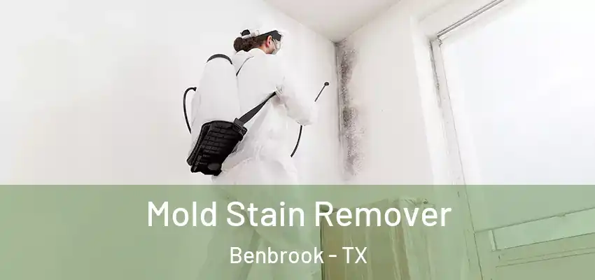  Mold Stain Remover Benbrook - TX