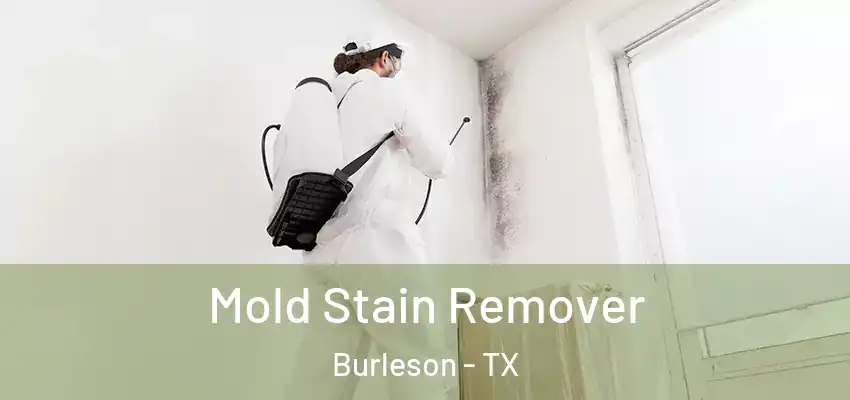  Mold Stain Remover Burleson - TX