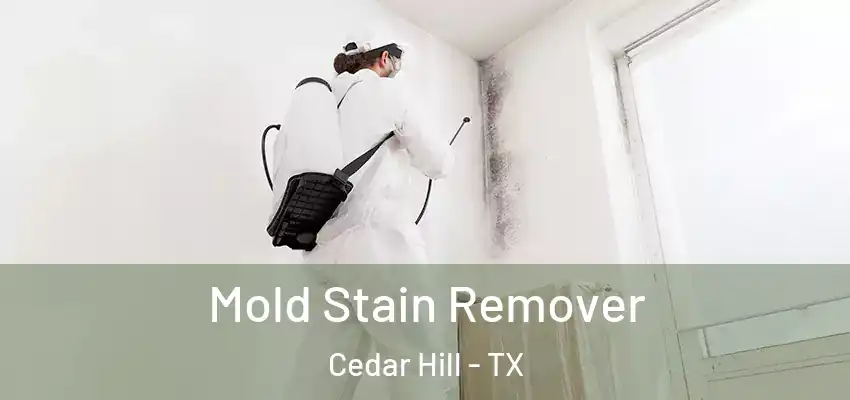 Mold Stain Remover Cedar Hill - TX