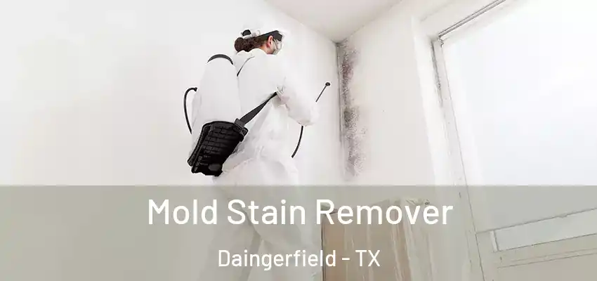 Mold Stain Remover Daingerfield - TX