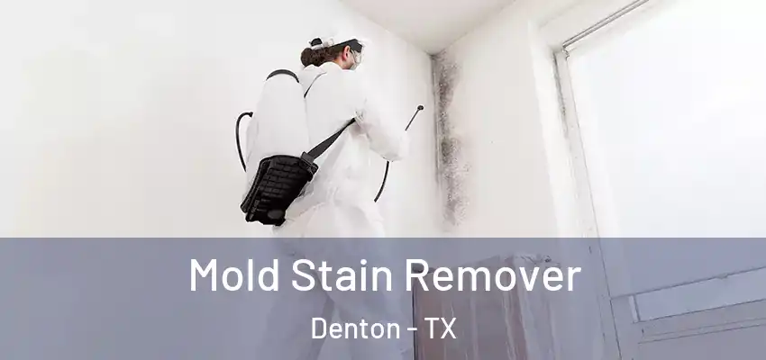  Mold Stain Remover Denton - TX