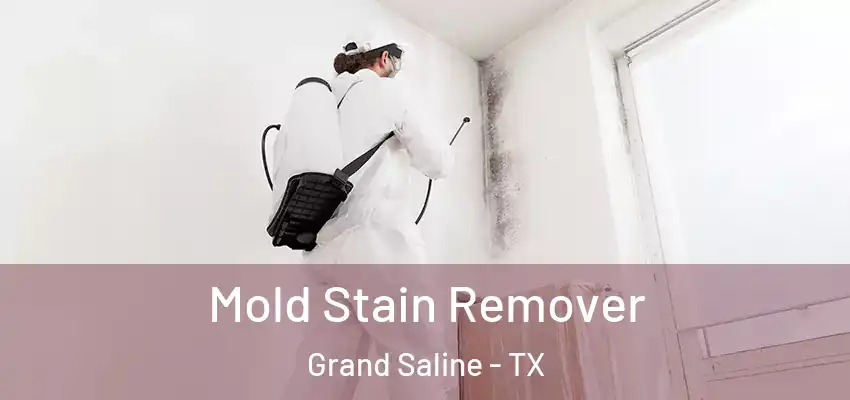  Mold Stain Remover Grand Saline - TX