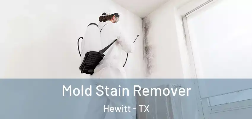 Mold Stain Remover Hewitt - TX