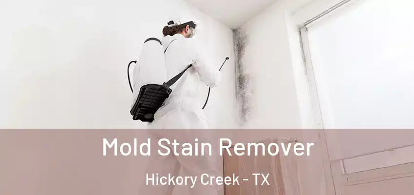  Mold Stain Remover Hickory Creek - TX