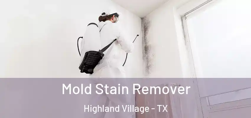 Mold Stain Remover Highland Village - TX