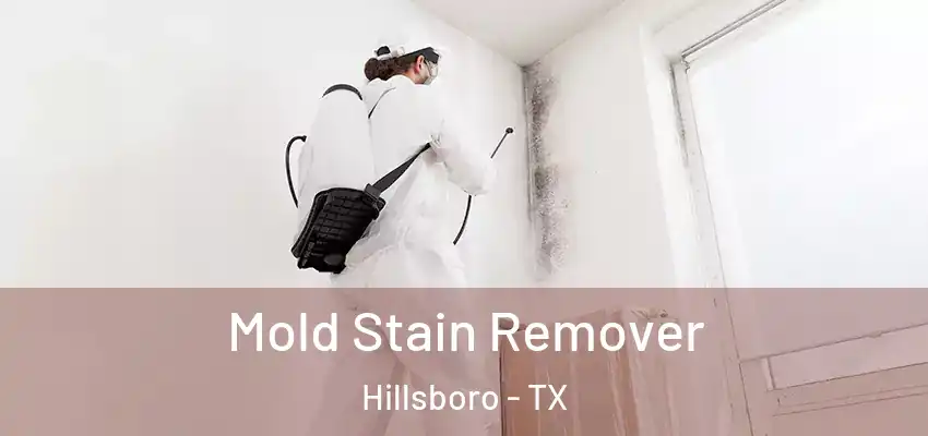  Mold Stain Remover Hillsboro - TX