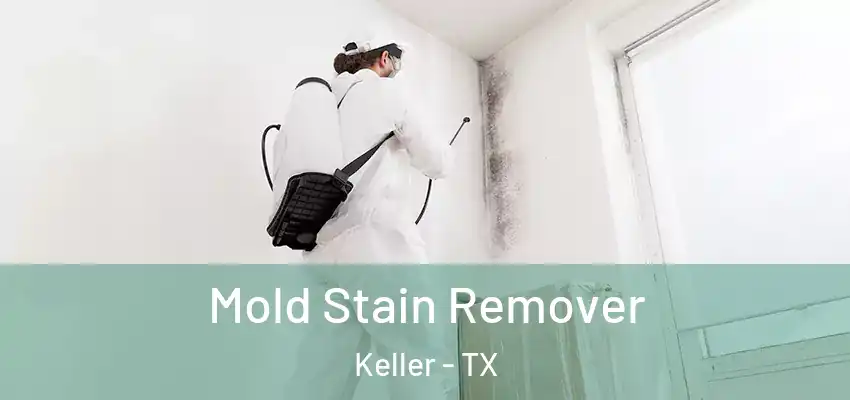 Mold Stain Remover Keller - TX