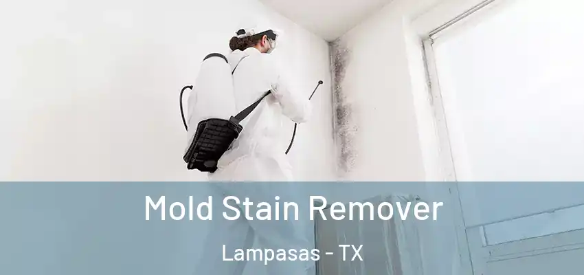  Mold Stain Remover Lampasas - TX