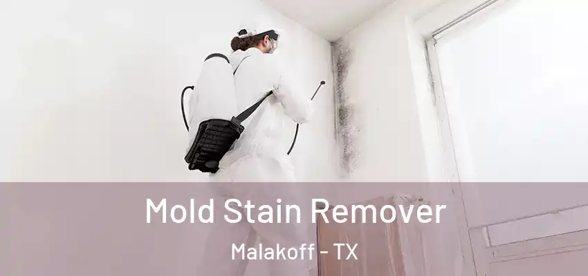 Mold Stain Remover Malakoff - TX