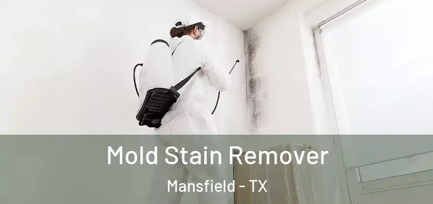  Mold Stain Remover Mansfield - TX