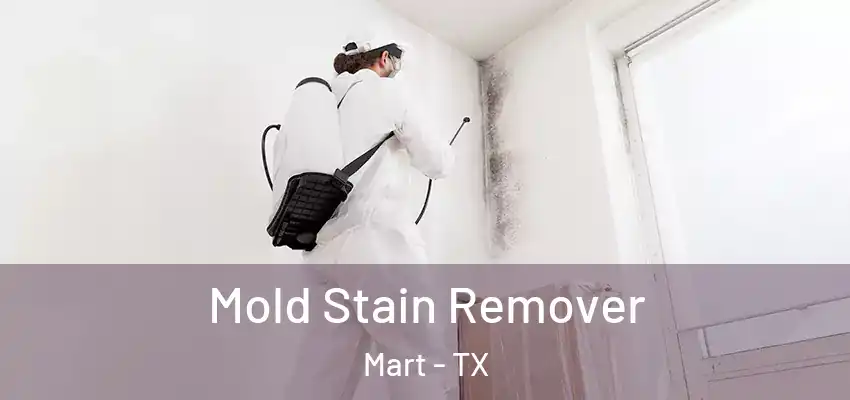 Mold Stain Remover Mart - TX
