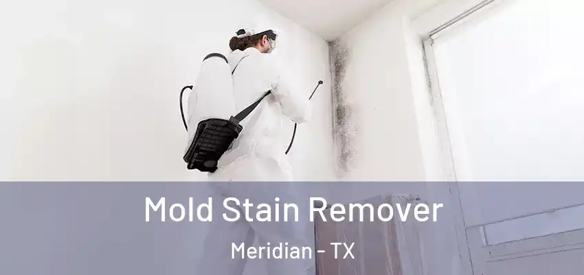  Mold Stain Remover Meridian - TX