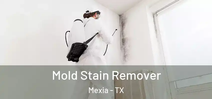 Mold Stain Remover Mexia - TX