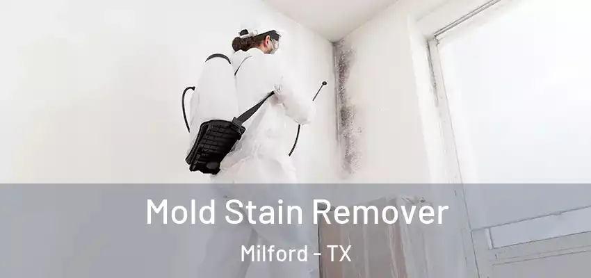 Mold Stain Remover Milford - TX