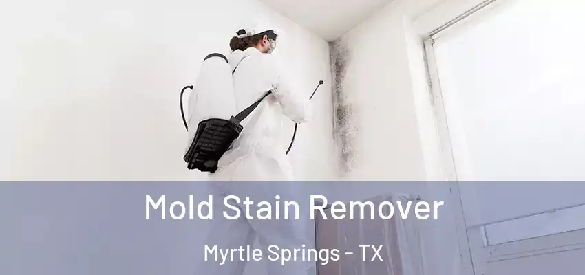  Mold Stain Remover Myrtle Springs - TX