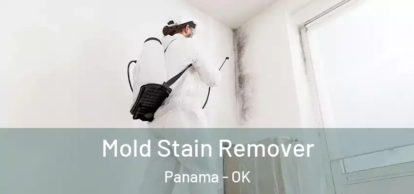  Mold Stain Remover Panama - OK