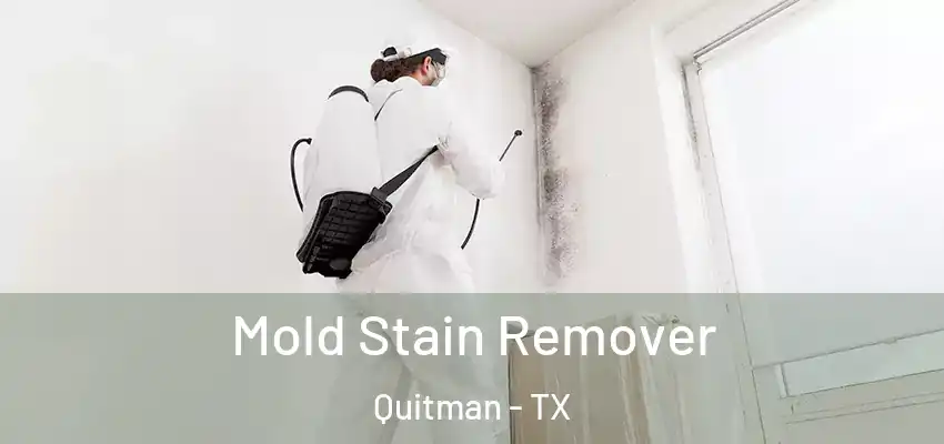 Mold Stain Remover Quitman - TX