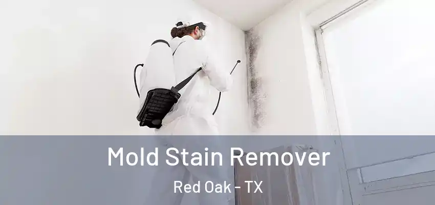  Mold Stain Remover Red Oak - TX