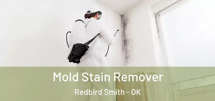  Mold Stain Remover Redbird Smith - OK