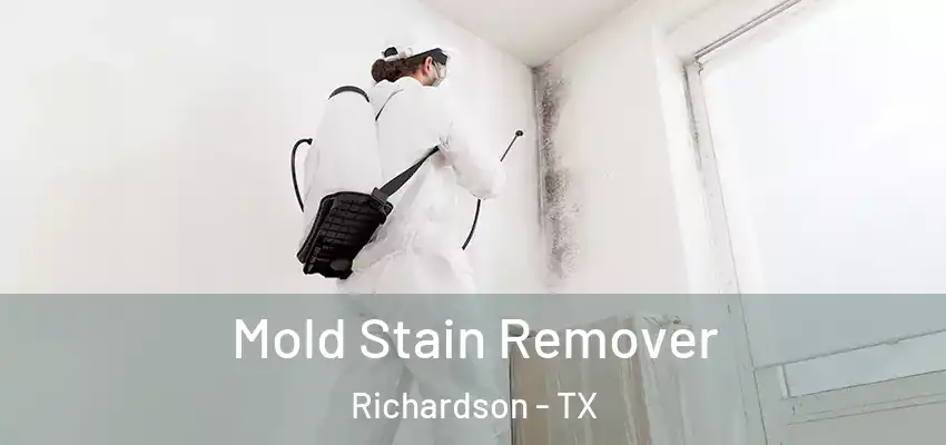  Mold Stain Remover Richardson - TX