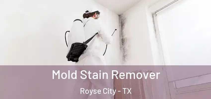  Mold Stain Remover Royse City - TX