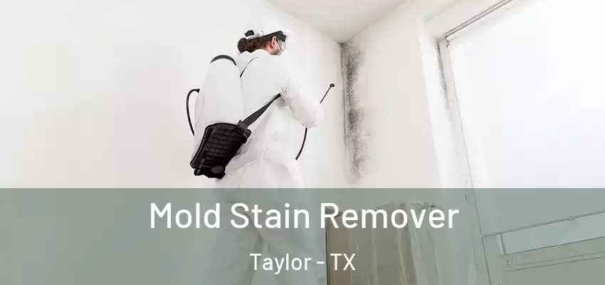 Mold Stain Remover Taylor - TX