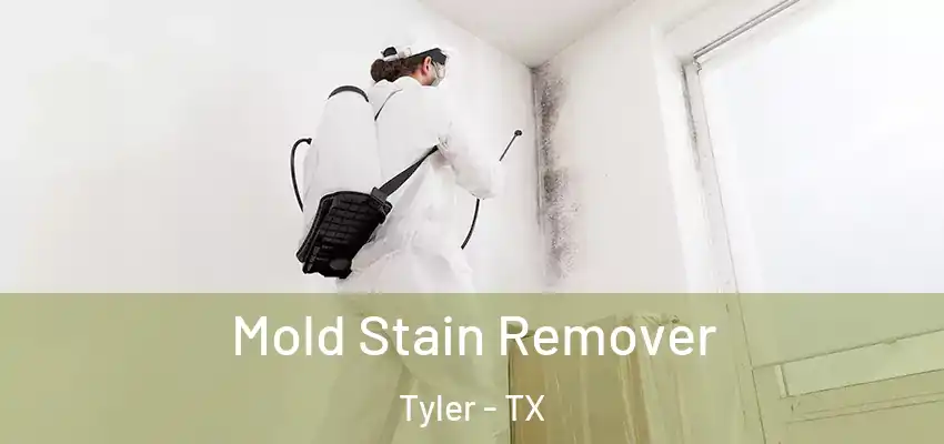  Mold Stain Remover Tyler - TX
