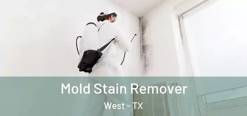  Mold Stain Remover West - TX