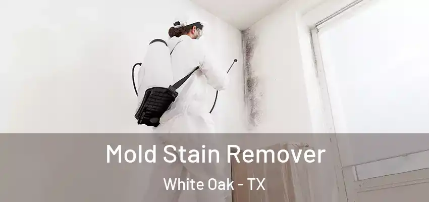  Mold Stain Remover White Oak - TX