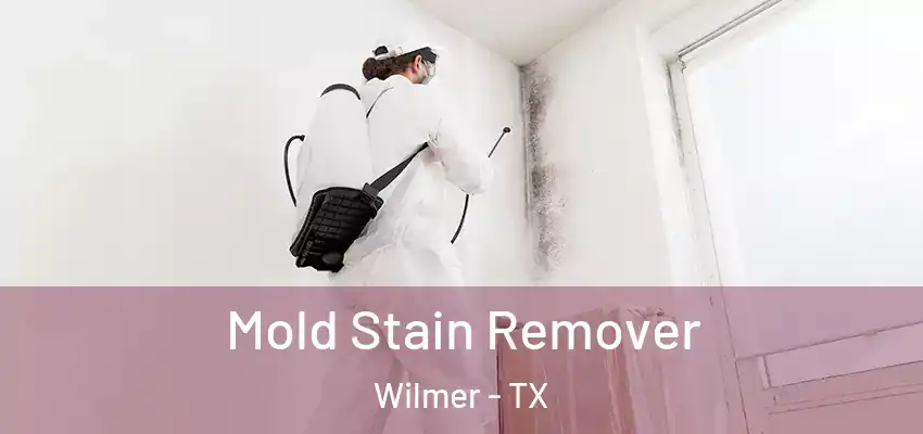  Mold Stain Remover Wilmer - TX