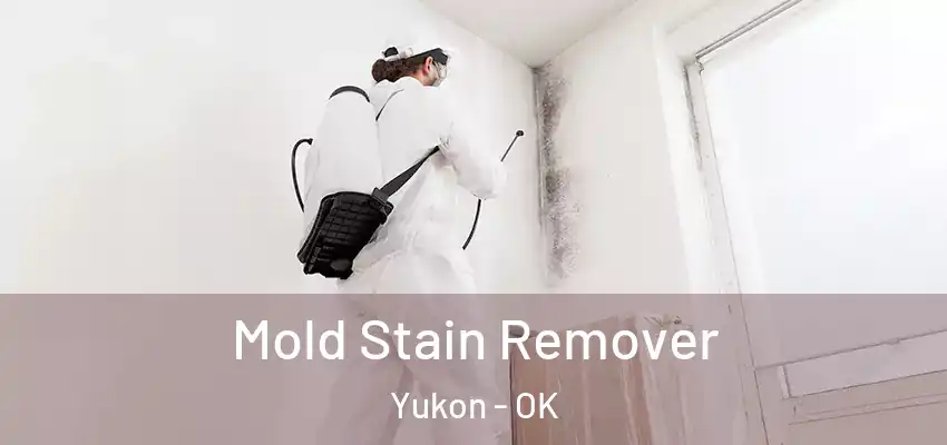 Mold Stain Remover Yukon - OK