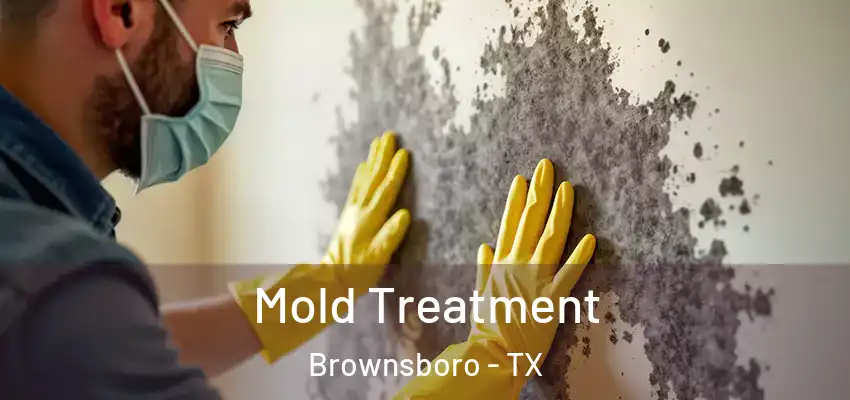  Mold Treatment Brownsboro - TX