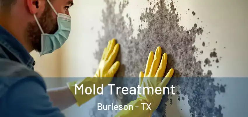  Mold Treatment Burleson - TX