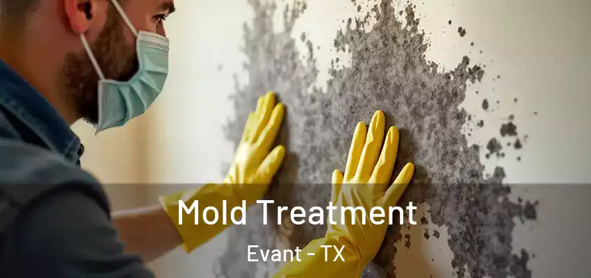 Mold Treatment Evant - TX